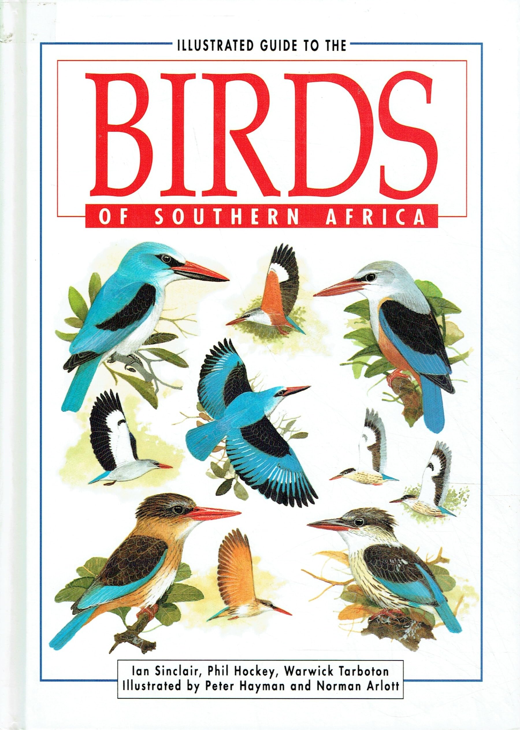 Illustrated Guide to the Birds of Southern Africa Mathematics