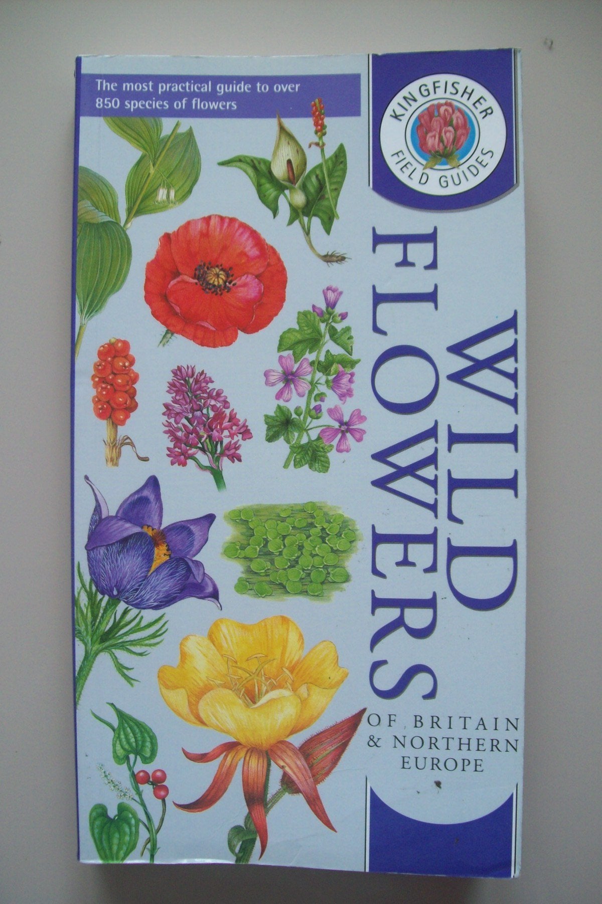 Wild Flowers of Britain and Northern Europe (Kingfisher field guides) Mathematics
