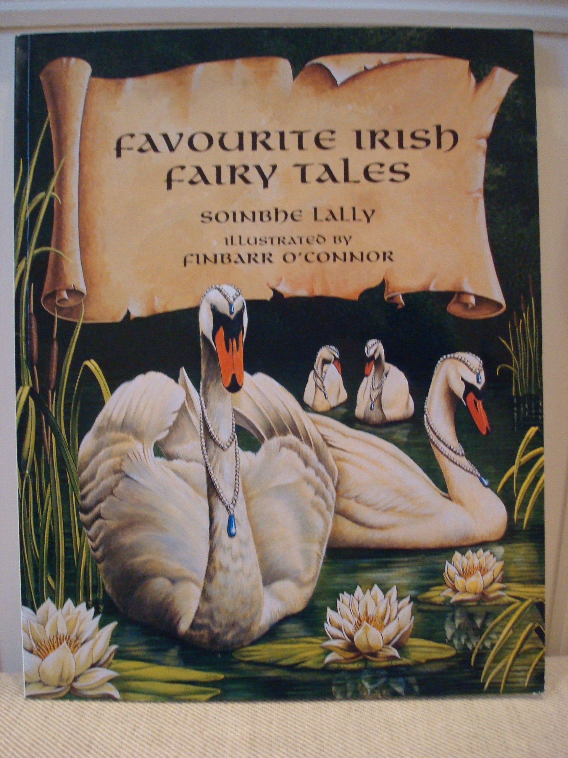 Favourite Irish Fairy Tales book