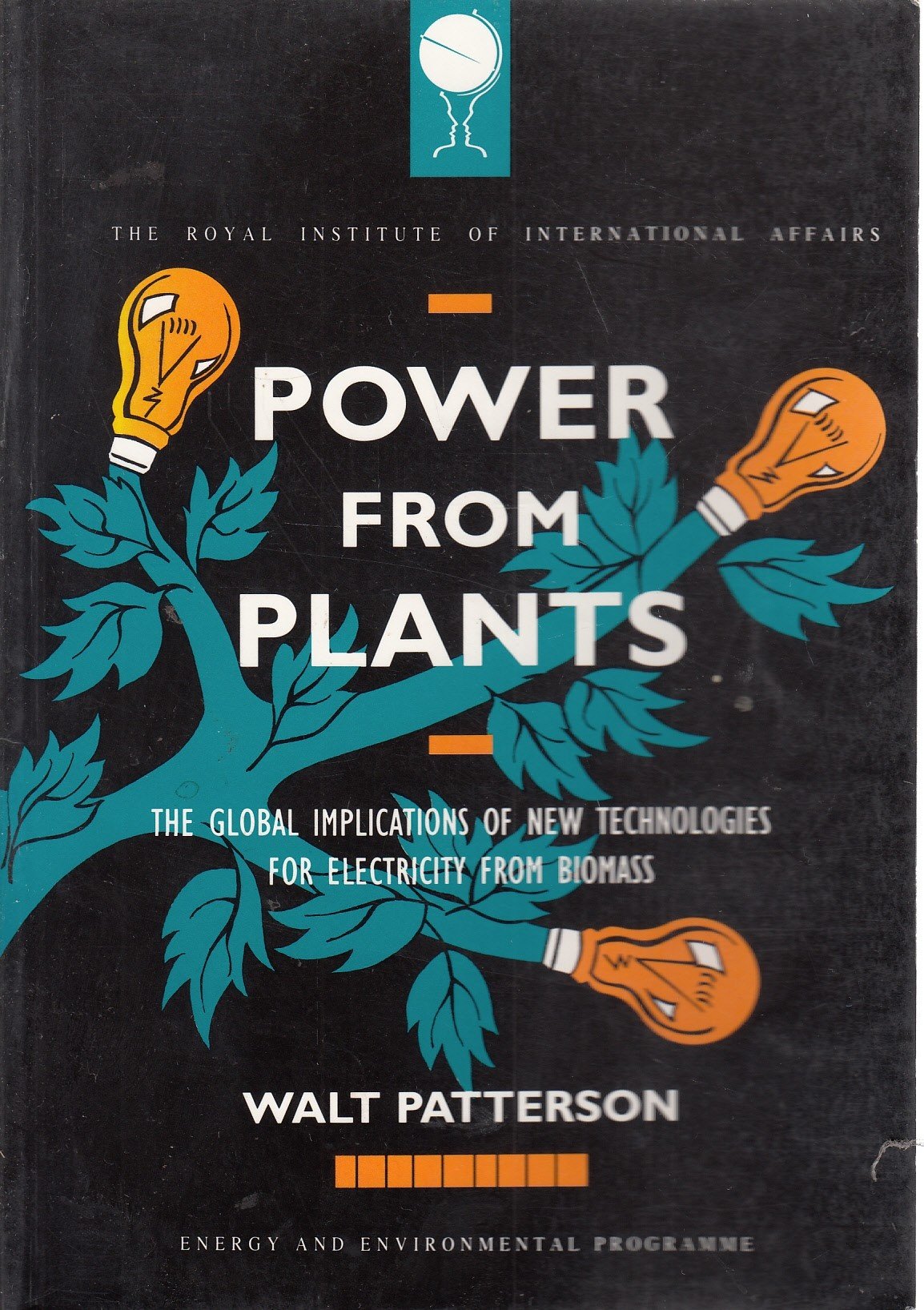 Power from Plants: The Global Implications of New Technologies for Electricity from Biomass (RIIA) Mathematics
