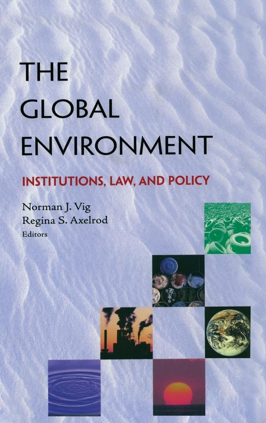 Product Image: The Global Environment