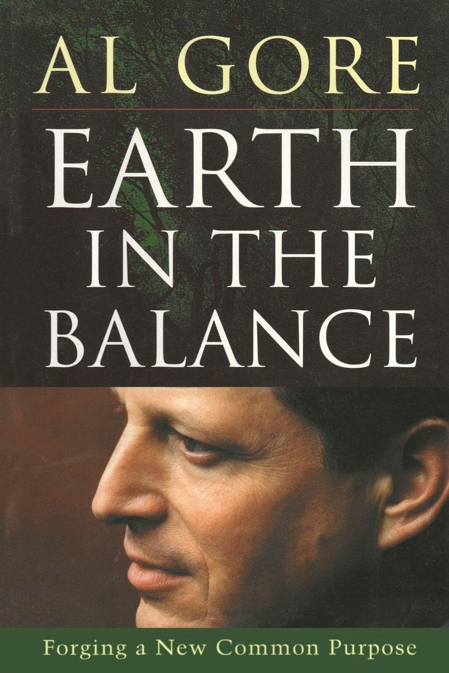 Earth in the Balance: Forging a New Common Purpose Business, Finance & Career