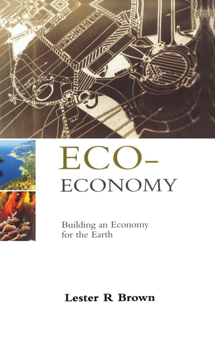 Product Image: Eco-Economy