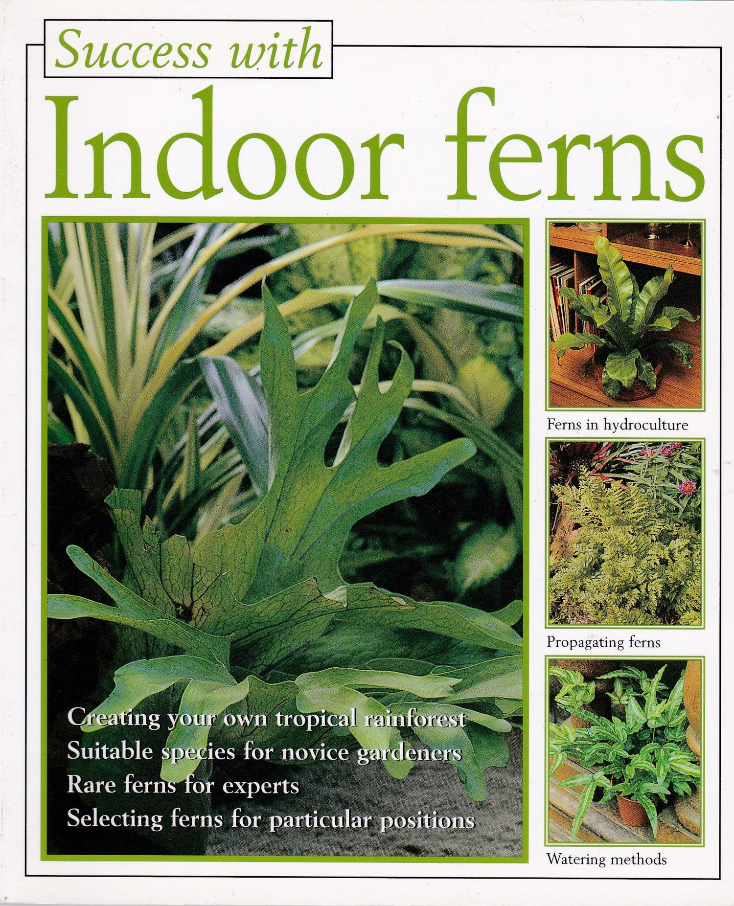 Indoor Ferns (The Success With Series) Garden & Plants
