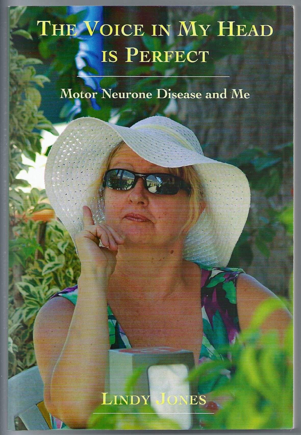 The Voice in My Head is Perfect book