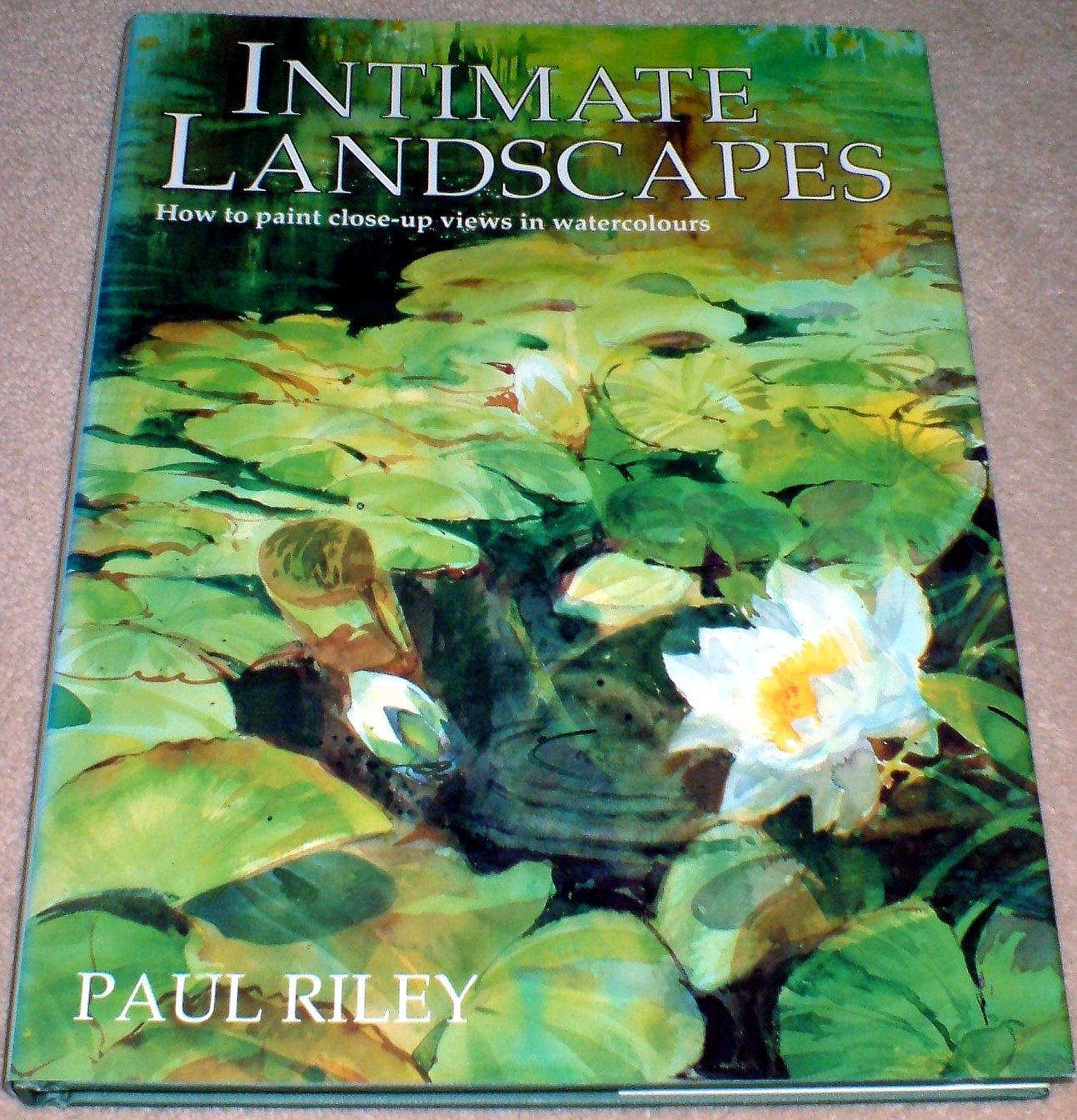 Intimate Landscapes: How to Paint Close-Up Views in Watercolours Film, Art & Culture