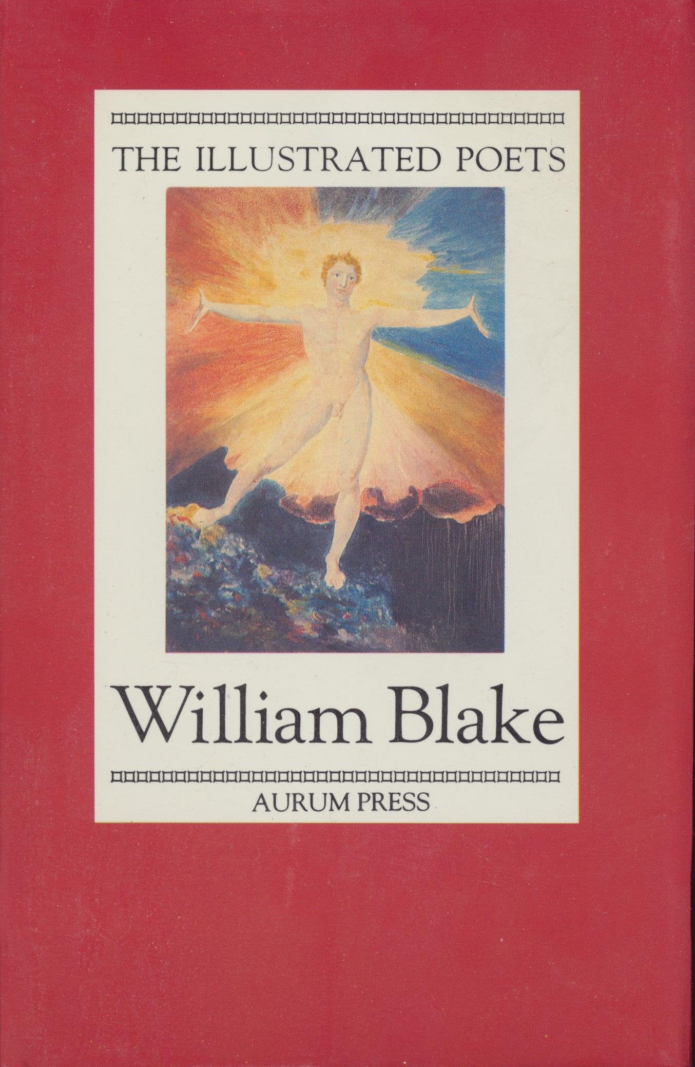 William Blake (Illustrated Poets) Contemporary literature Books