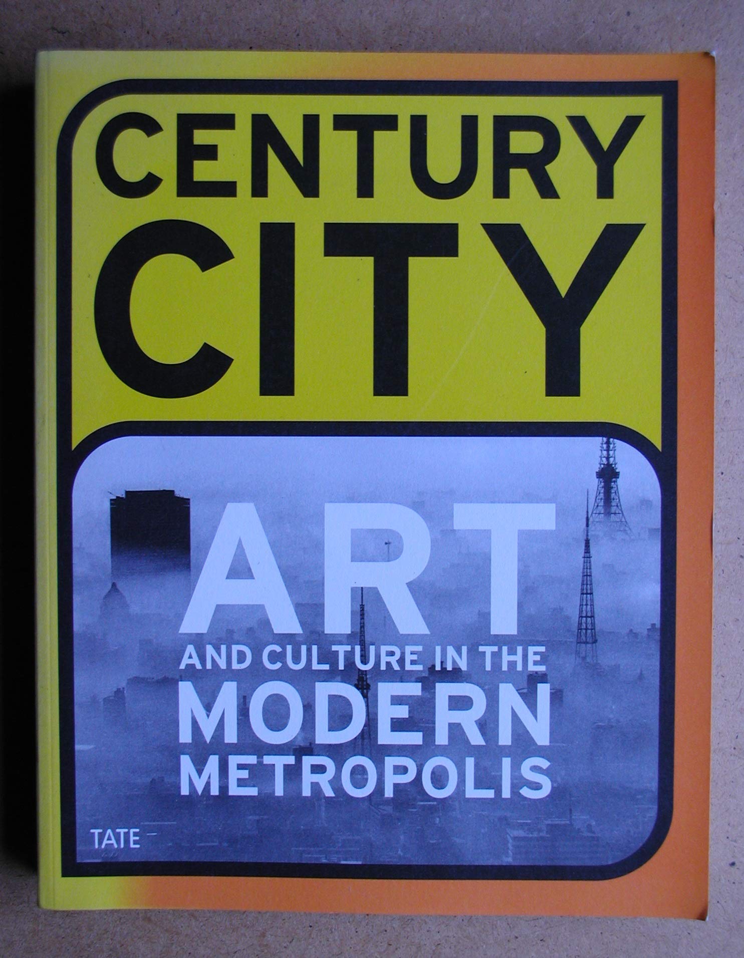 Century City : Art and Culture in the Modern Metropolis Social Sciences