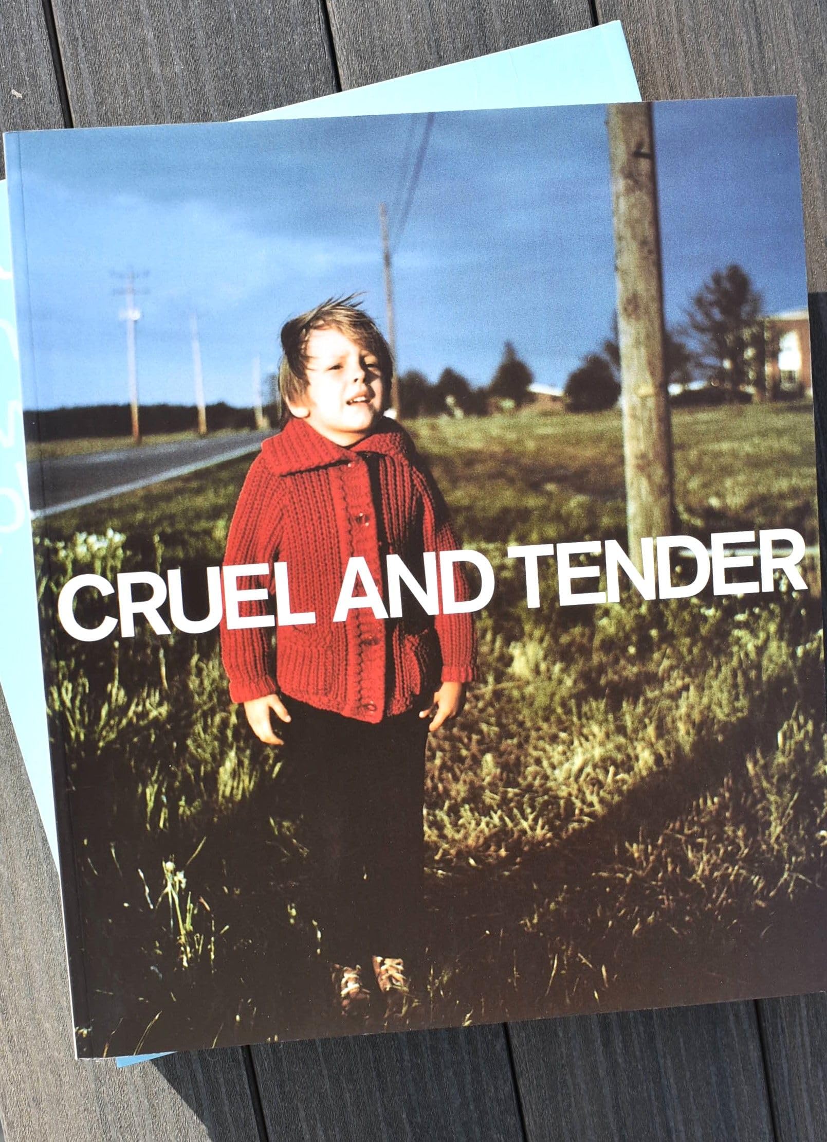 Cruel and Tender: The Real in the 20th Century Photograph: Photographs of the Twentieth Century Film, Art & Culture