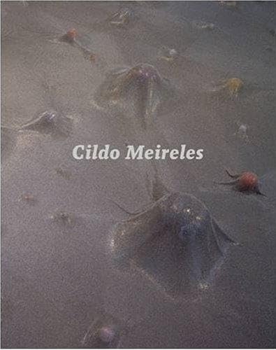 Cildo Meireles Social Sciences