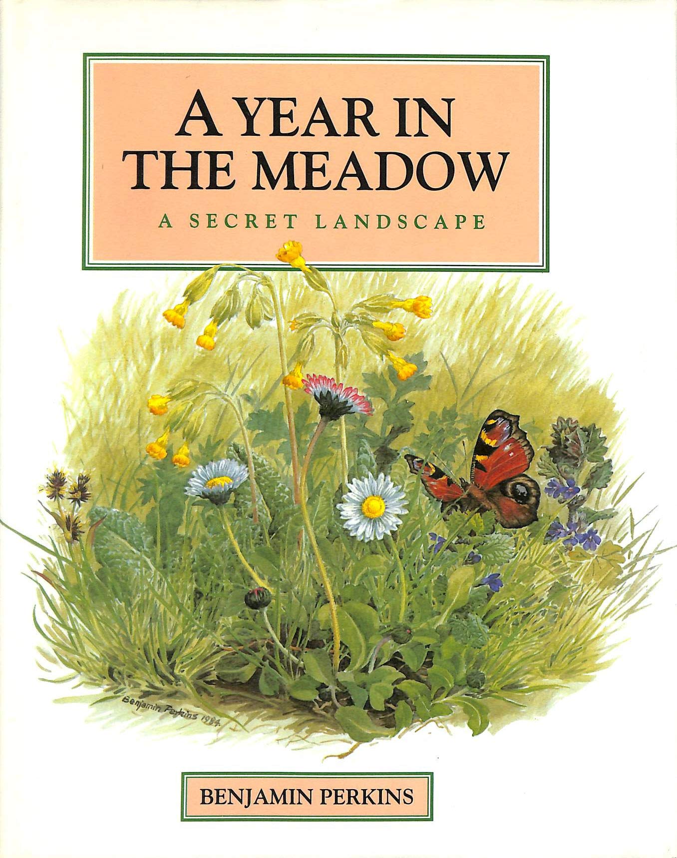 A Year in the Meadow: The Secret Landscape book