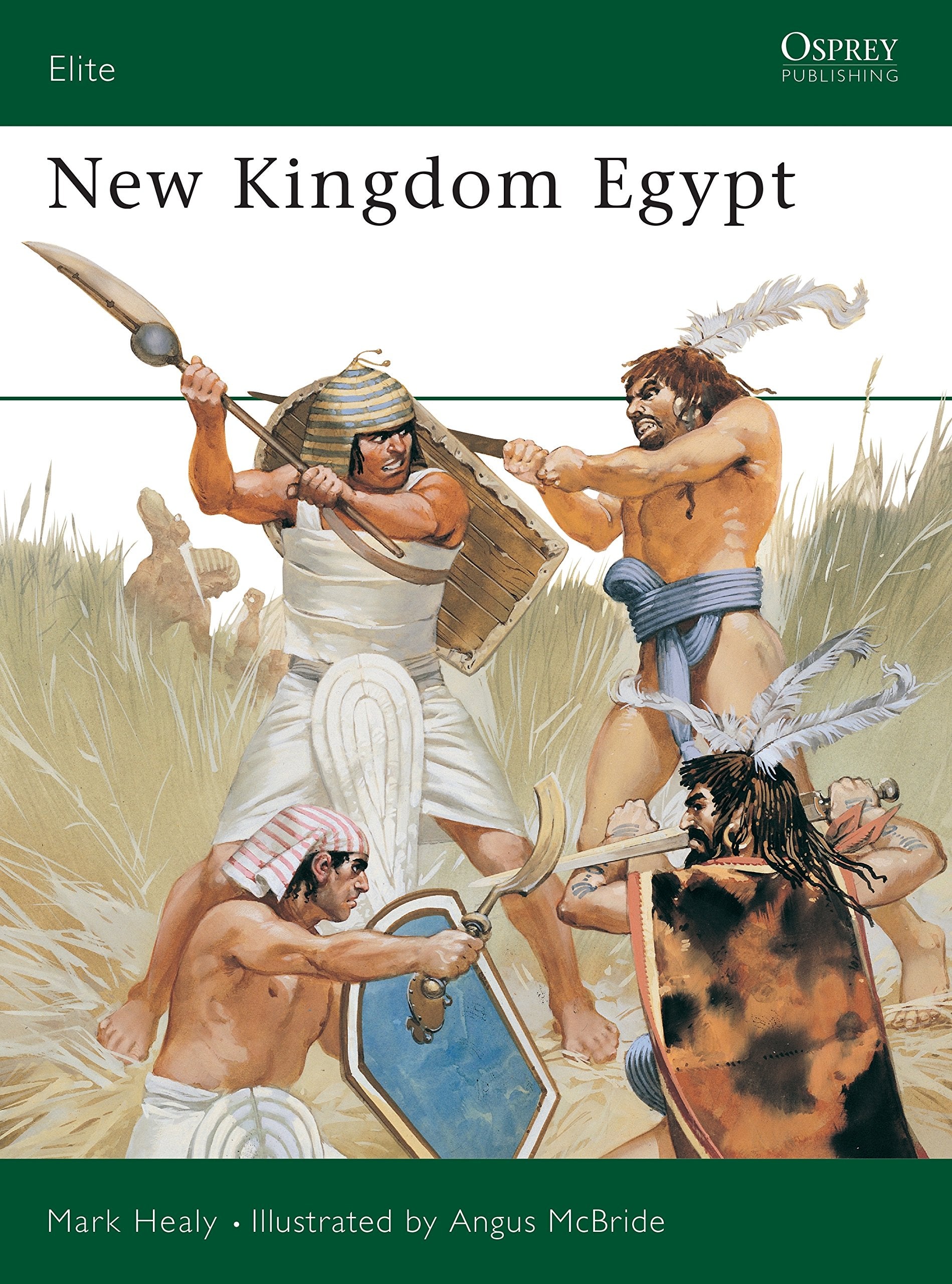 New Kingdom Egypt Social Sciences Books