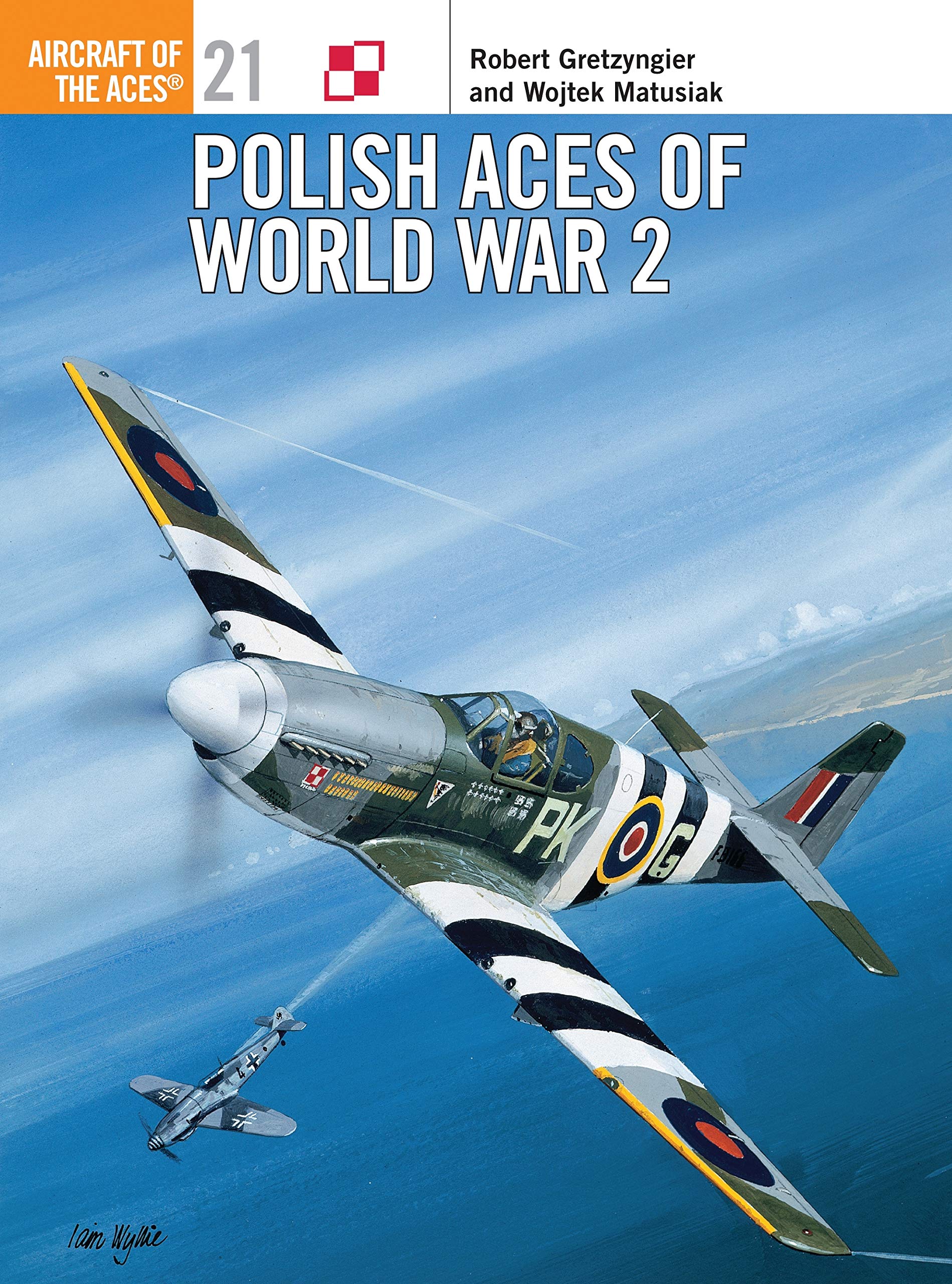 Polish Aces of World War 2 book
