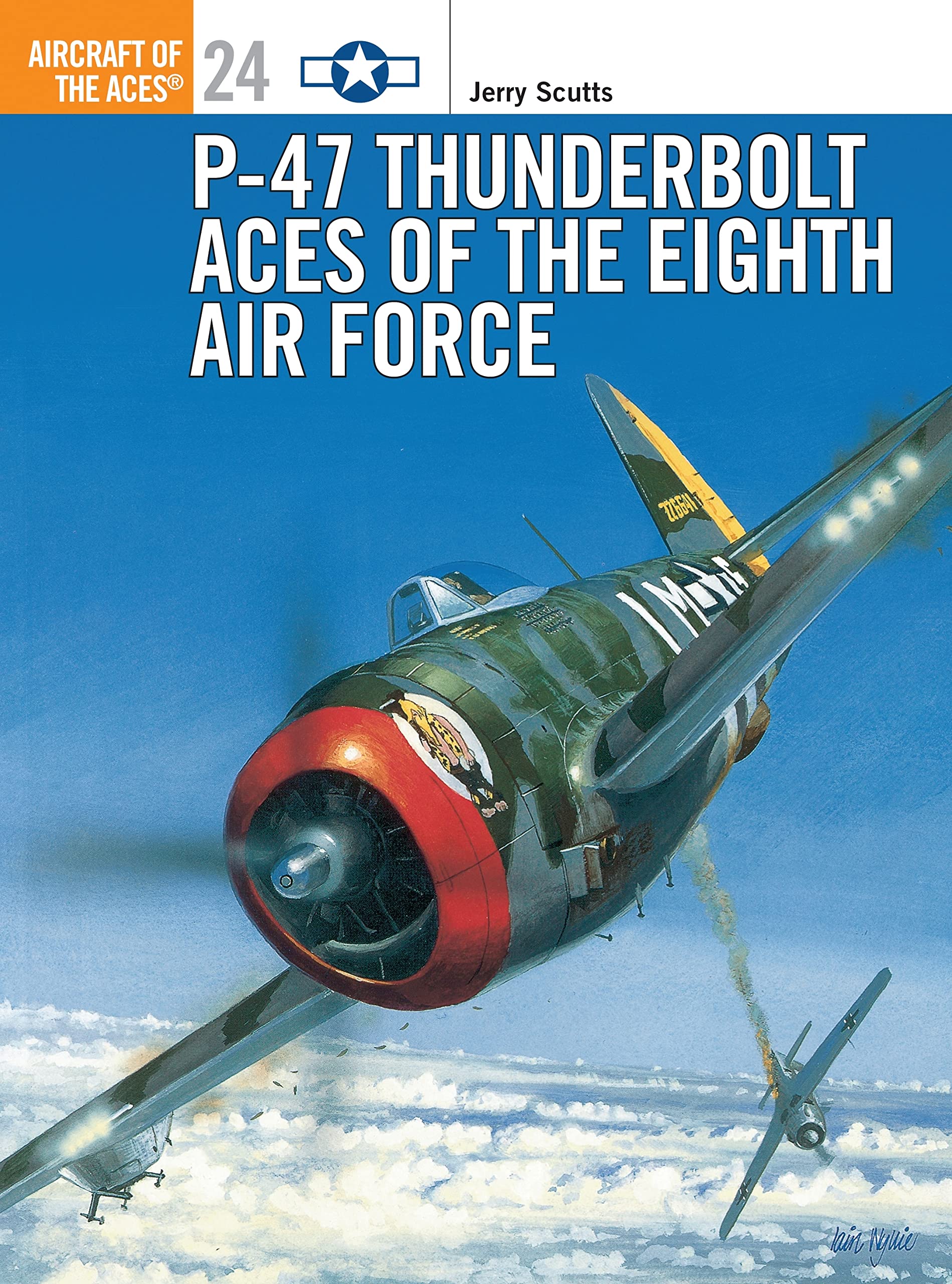 P-47 Thunderbolt Aces of the Eighth Air Force Social Sciences