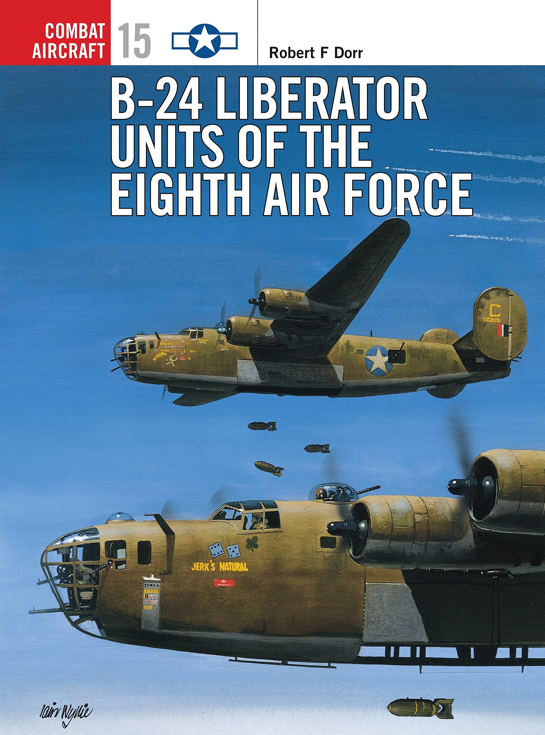 B-24 Liberator Units of the Eighth Air Force (Combat Aircraft Series, 15) Social Sciences