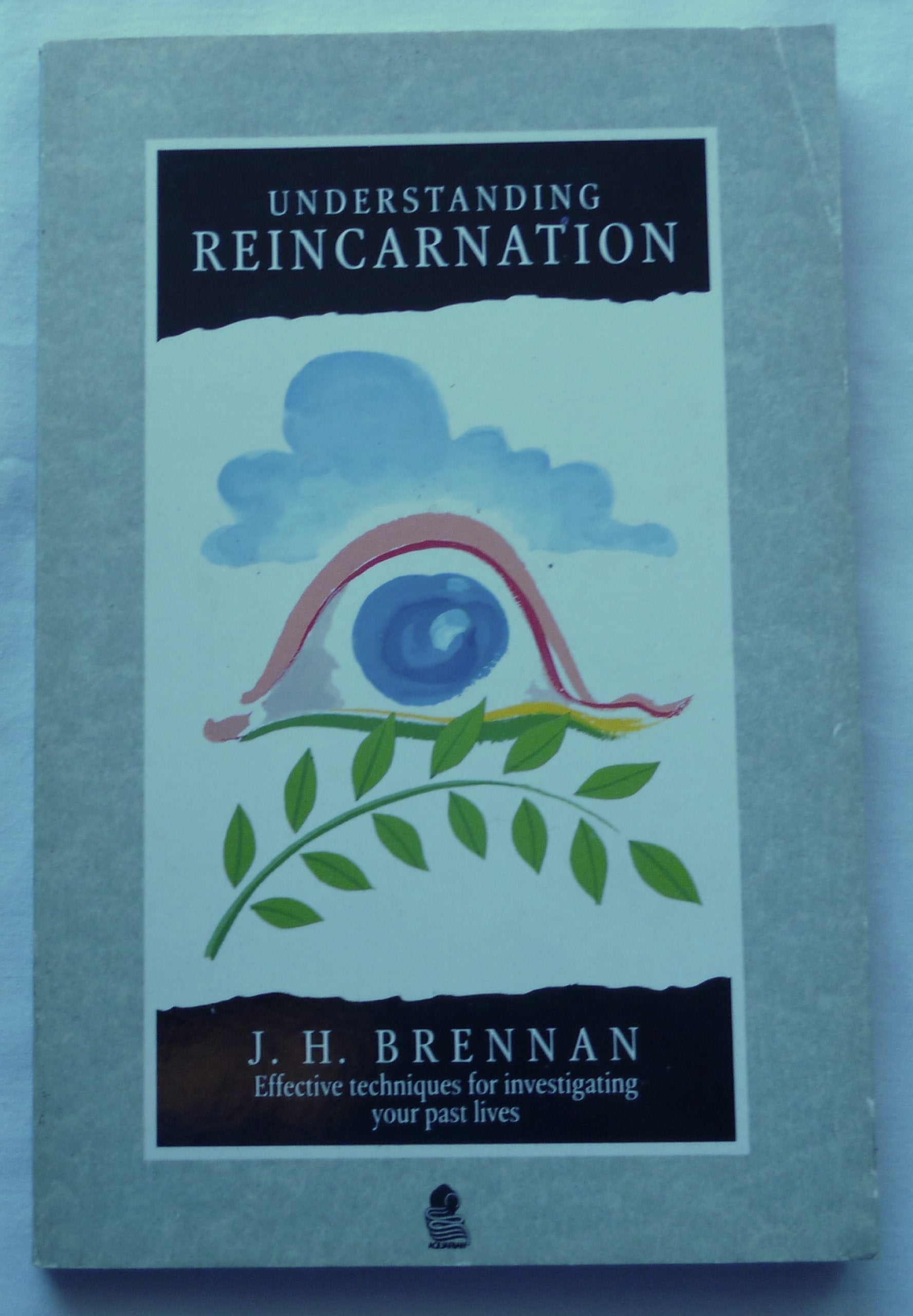Understanding Reincarnation: Effective Techniques for Investigating Your Past Lives (Paths to Inner Power S.) Religion & Esotericism