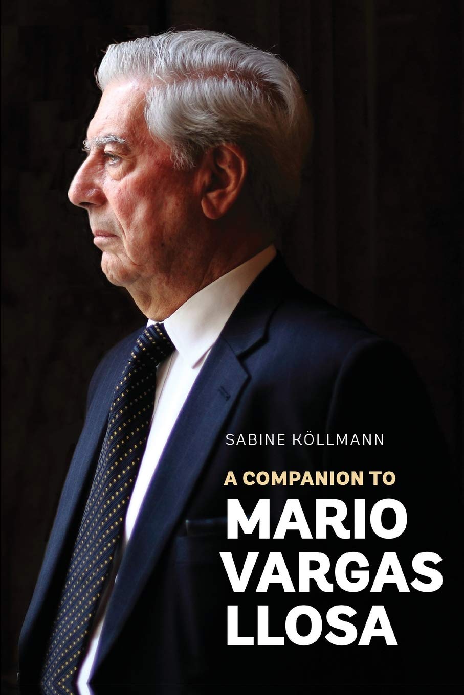 Companion to Mario Vargas Llosa Contemporary literature