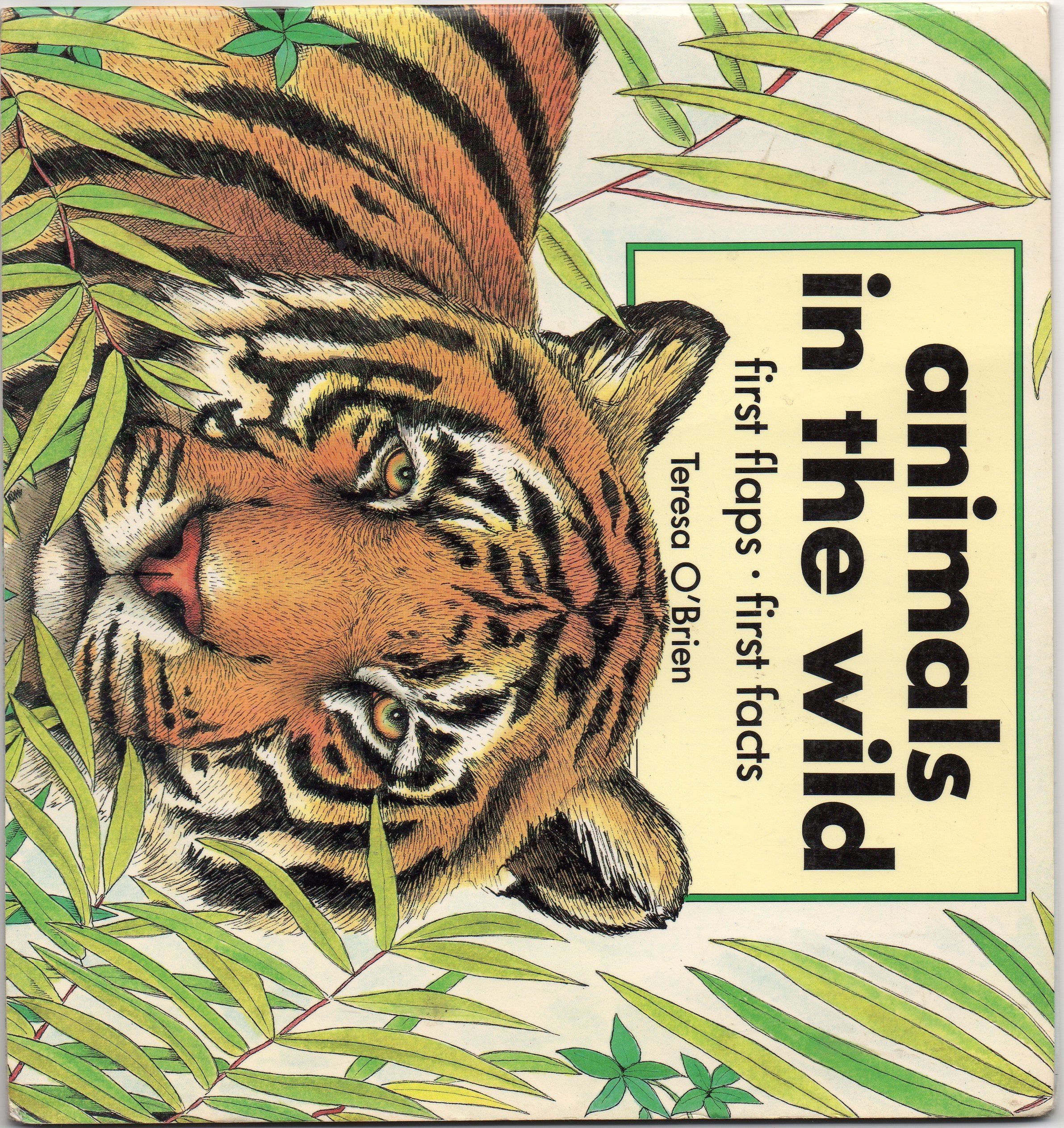 Animals in the Wild (First facts - first flaps) Tiptoi & Games