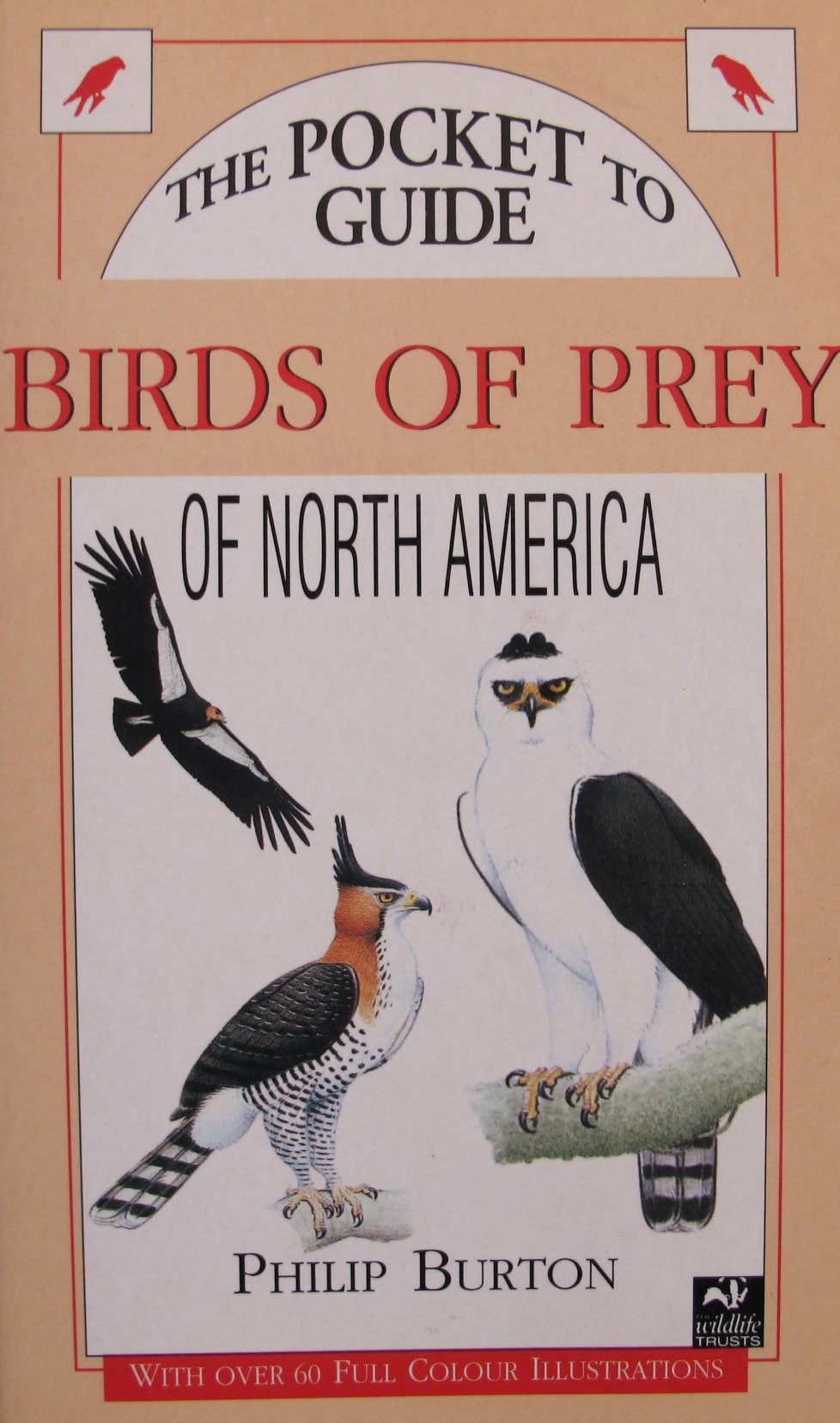 The POCKET to GUIDE BIRDS of PREY of NORTH AMERICA With over 60 Full Colour Illustrations book