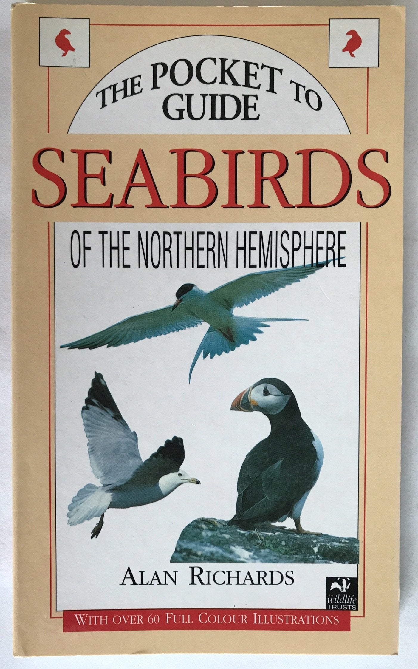 Seabirds of the Northern Hemisphere (Pocket Guide) Books