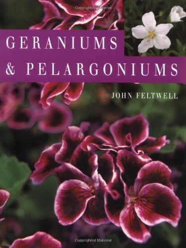 GERANIUMS & PELARGONIUMS Garden & Plants