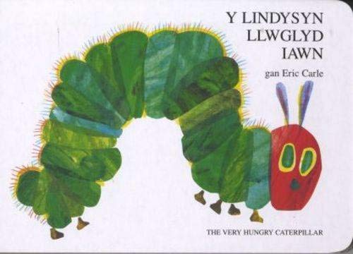 Lindysyn Llwglyd Iawn, Y / Very Hungry Caterpillar, The: The Very Hungry Caterpillar Novels & Short Stories