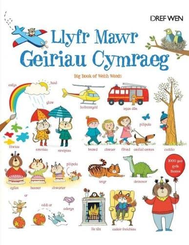 Llyfr Mawr Geiriau Cymraeg Foreign Languages ​​& Dictionaries