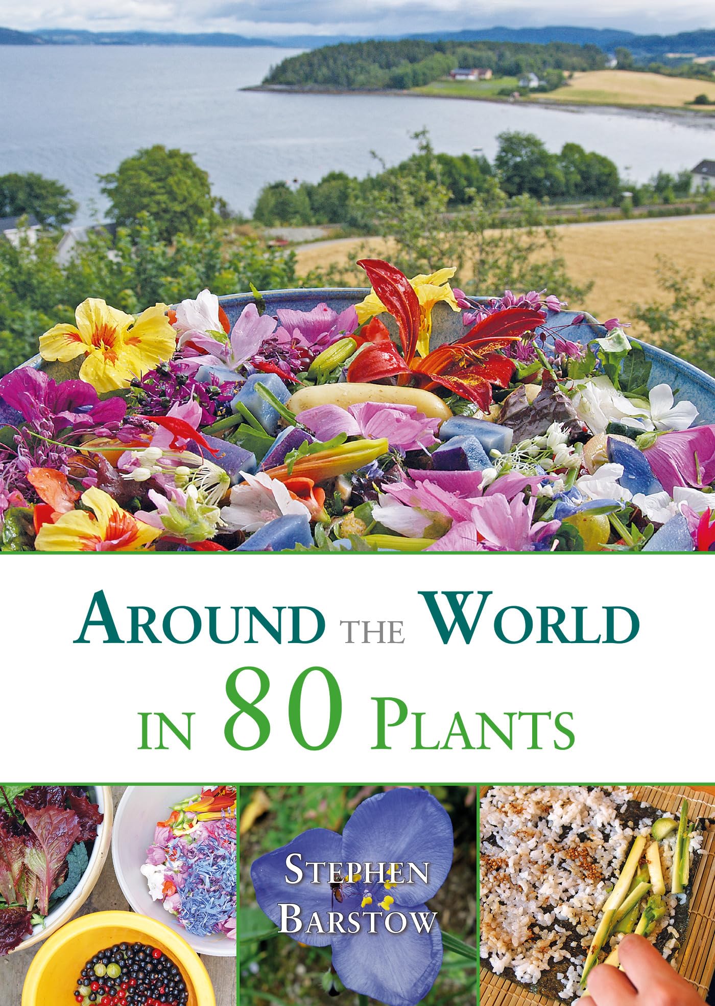 Around the World in 80 Plants: An Edible Perennial Vegetable Adventure for Temperate Climates: An edible perrenial vegetable adventure for temperate climates Garden & Plants