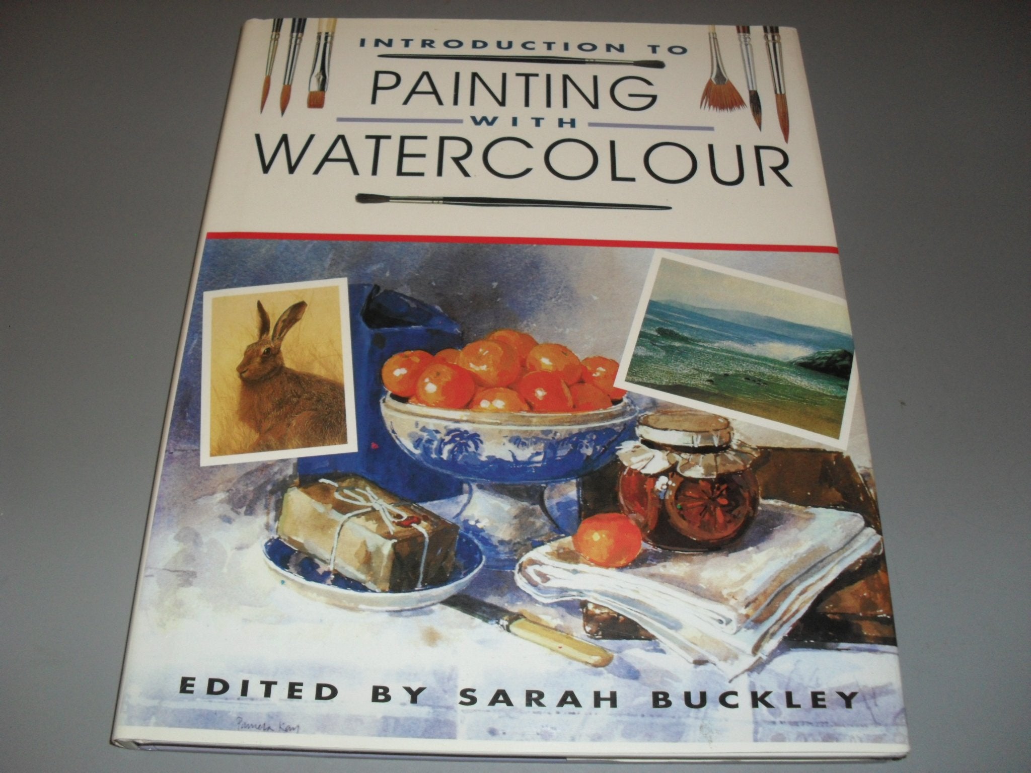 Introduction to Painting with Watercolours Film, Art & Culture