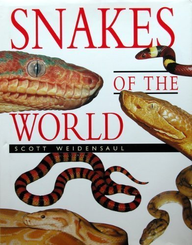 Snakes of the World Mathematics