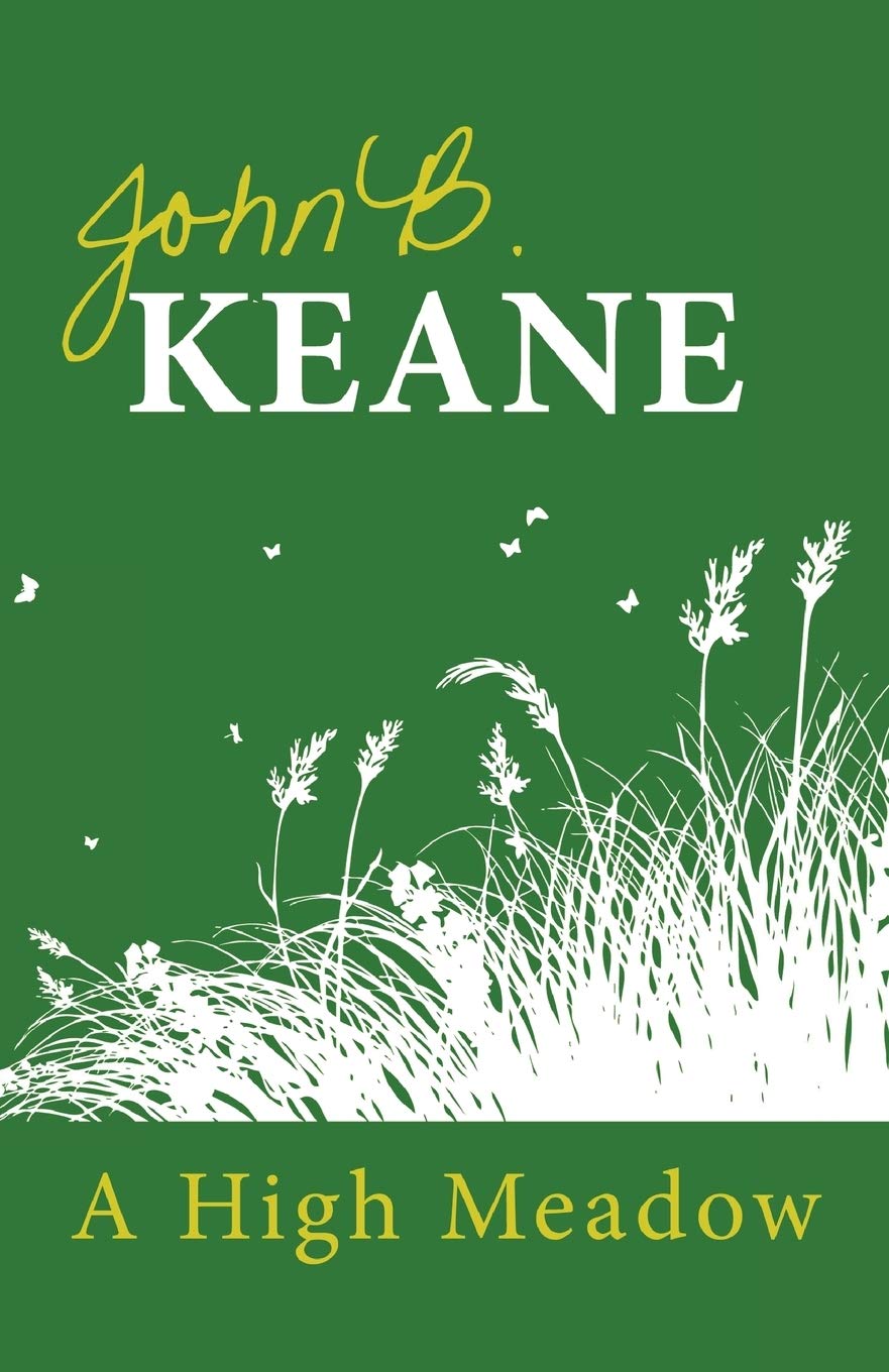 High Meadow Contemporary literature