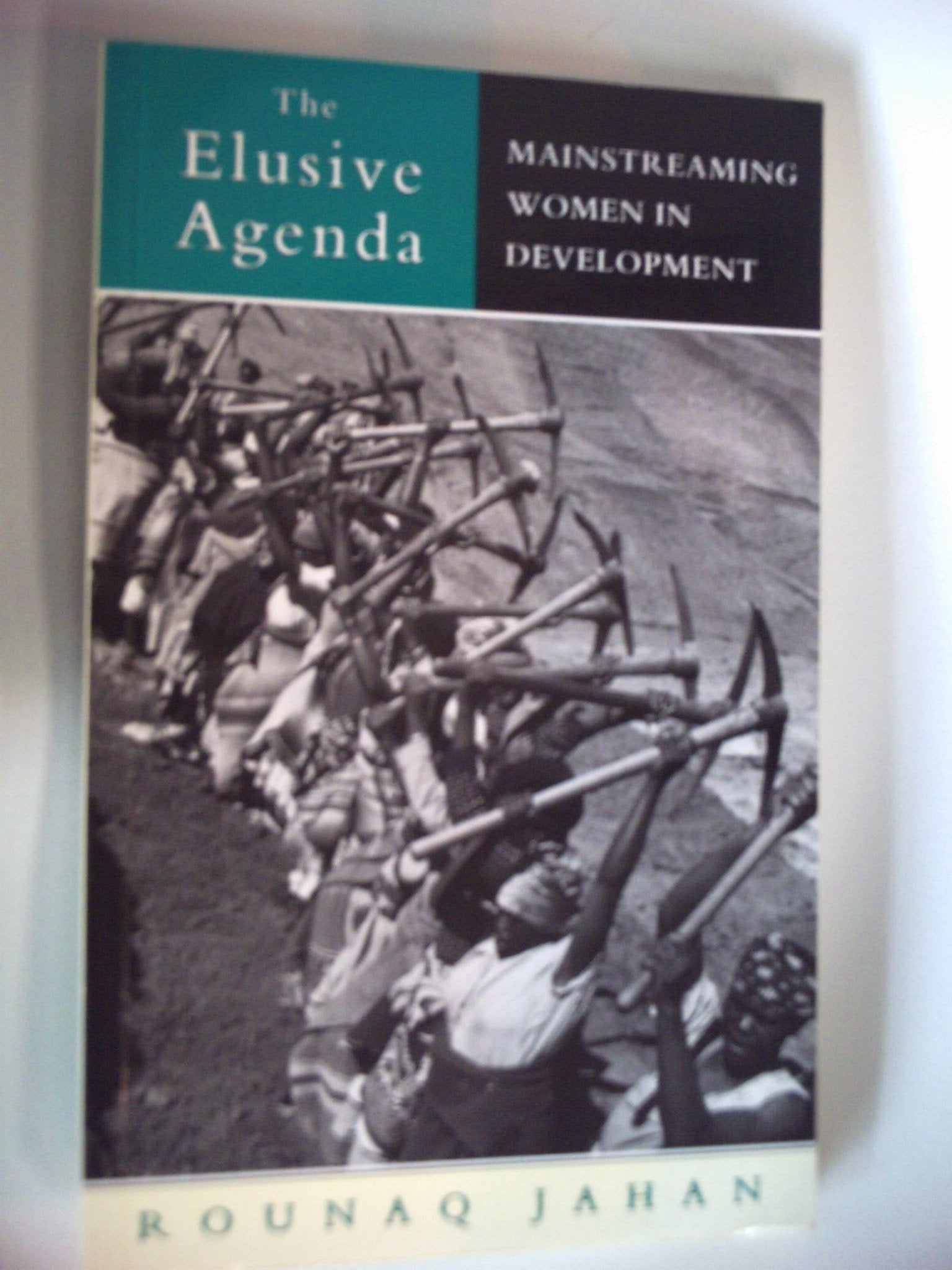 The Elusive Agenda: Mainstreaming Women in Development Books