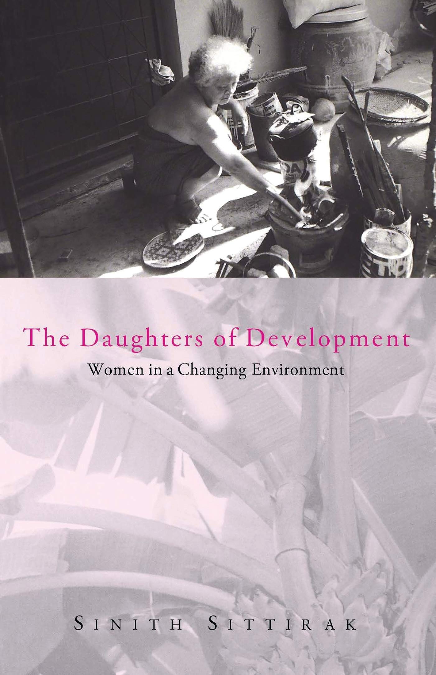 Product Image: The Daughters of Development