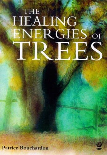 The Healing Energy Of Trees Medicine