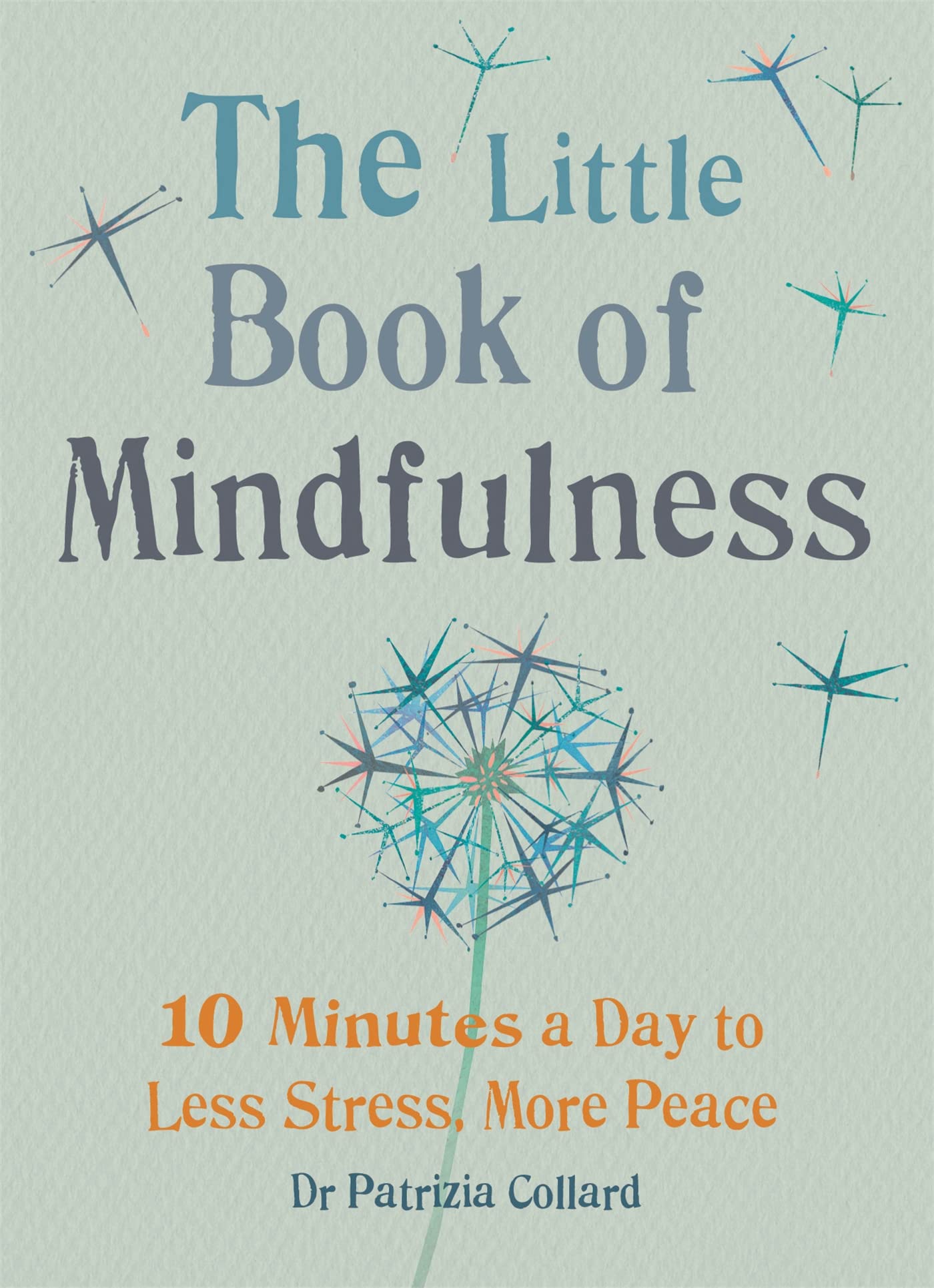 Little Book of Mindfulness Medicine