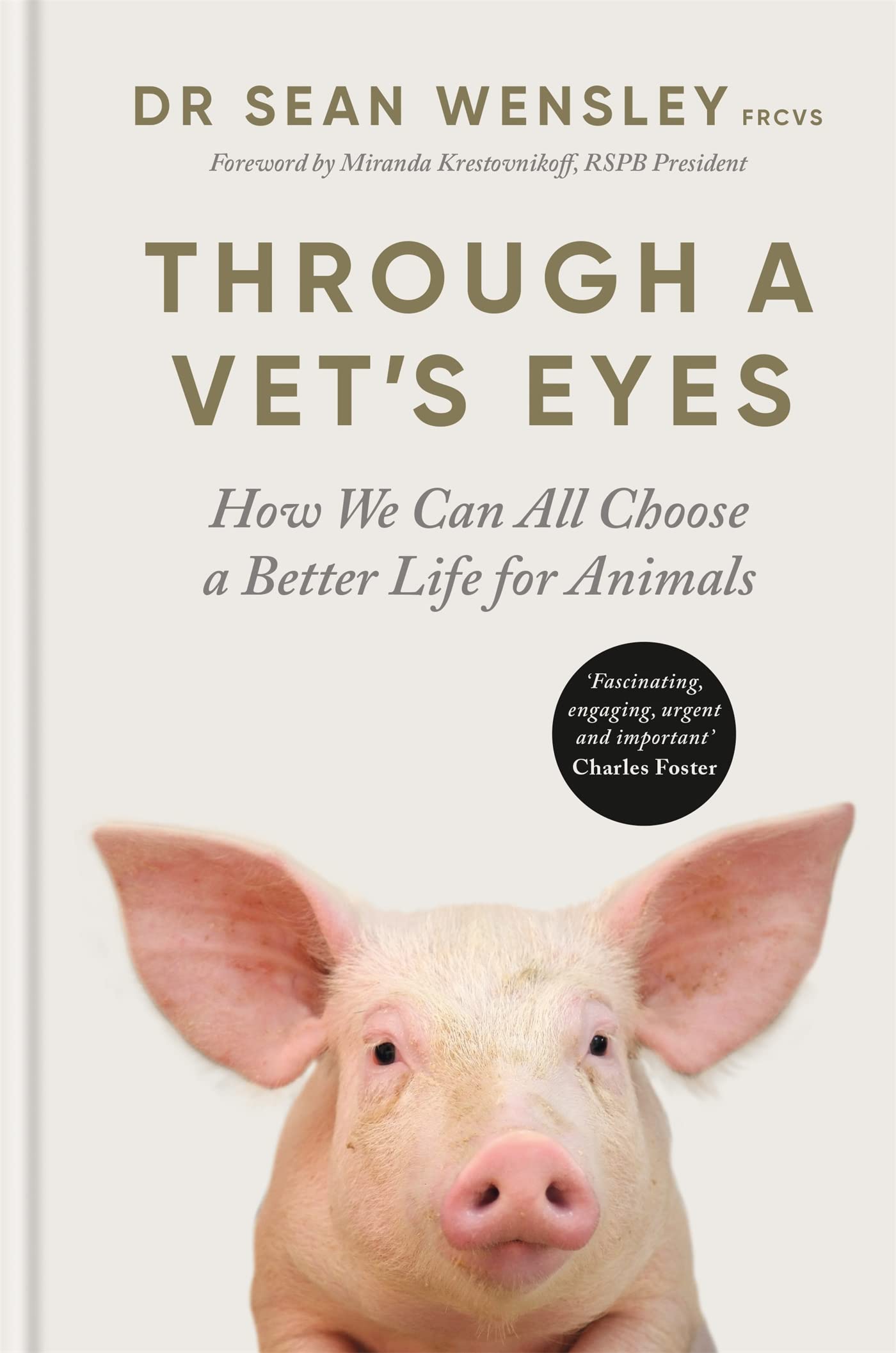 Through A Vet's Eyes Medicine