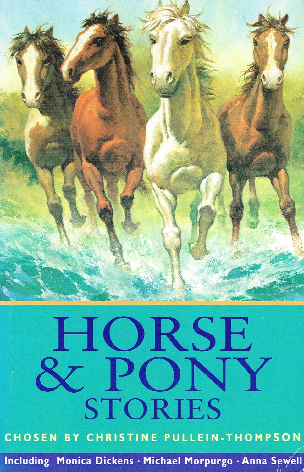Horse and Pony Stories book