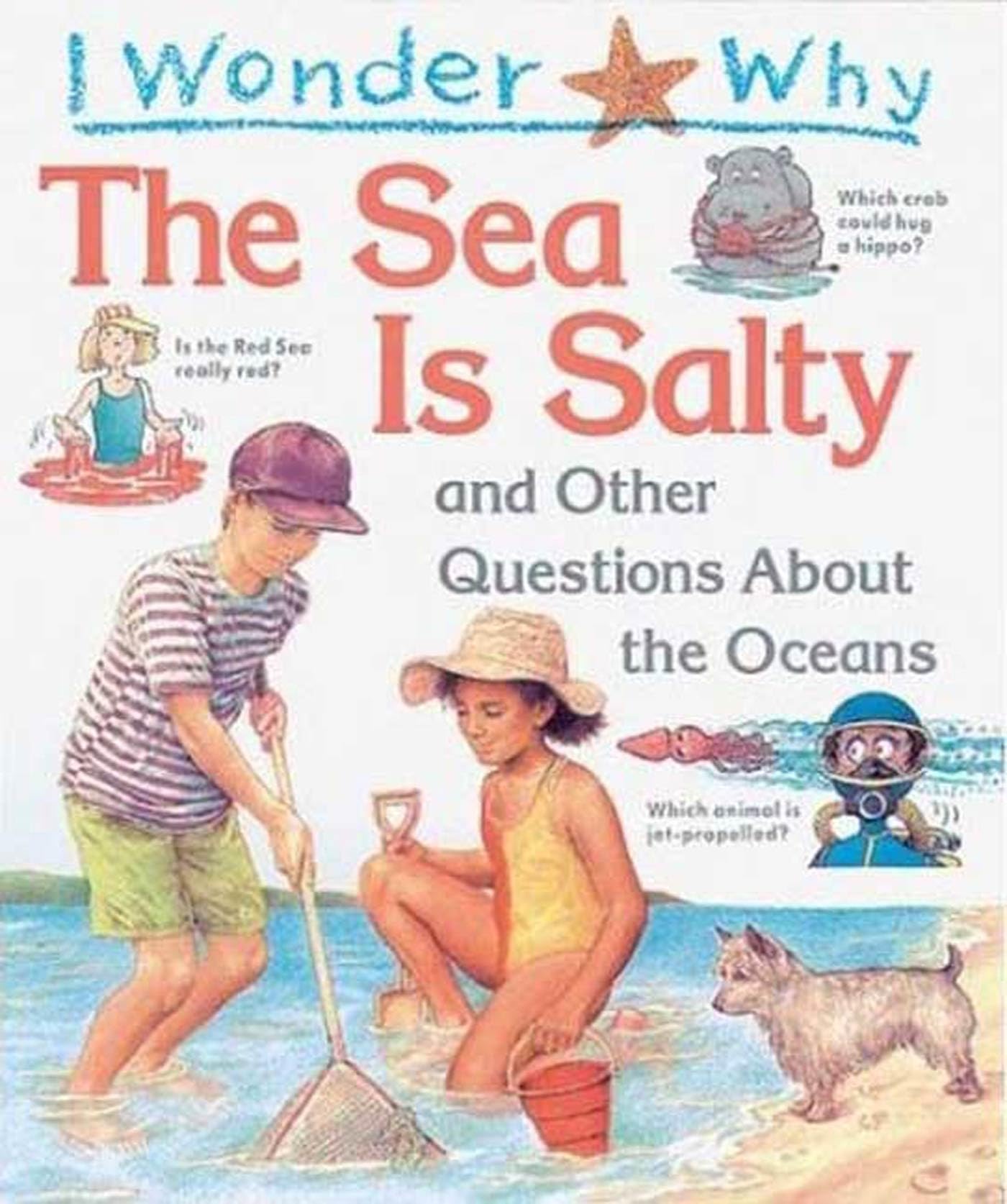 I Wonder Why the Sea Is Salty: And Other Questions About the Oceans Non-fiction