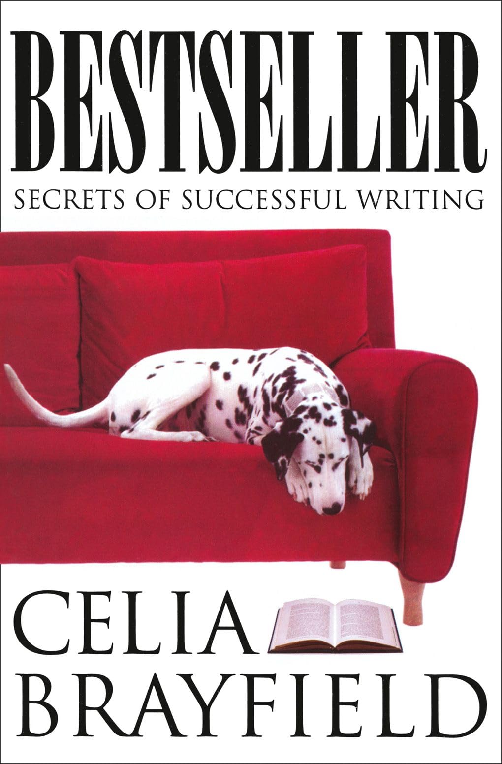 Bestseller: Secrets of Successful Writing Social Sciences