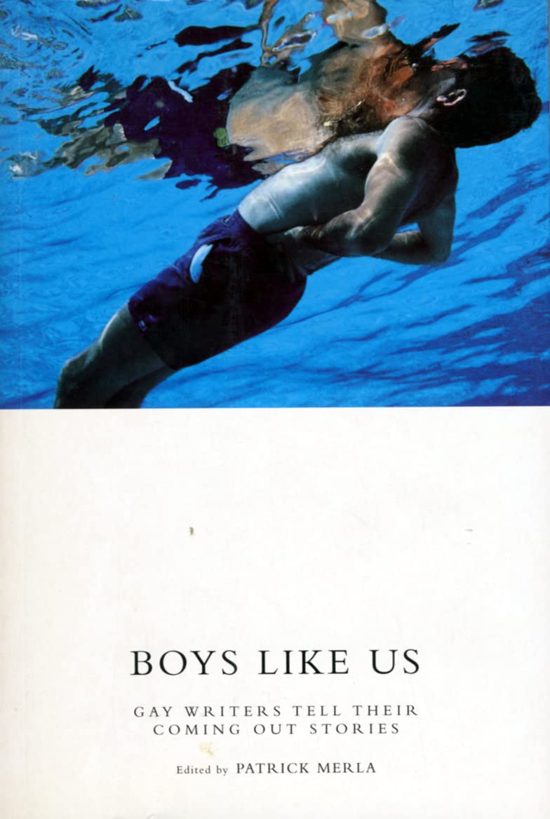 Boys Like Us: Gay Writers Tell Their Coming-out Stories book