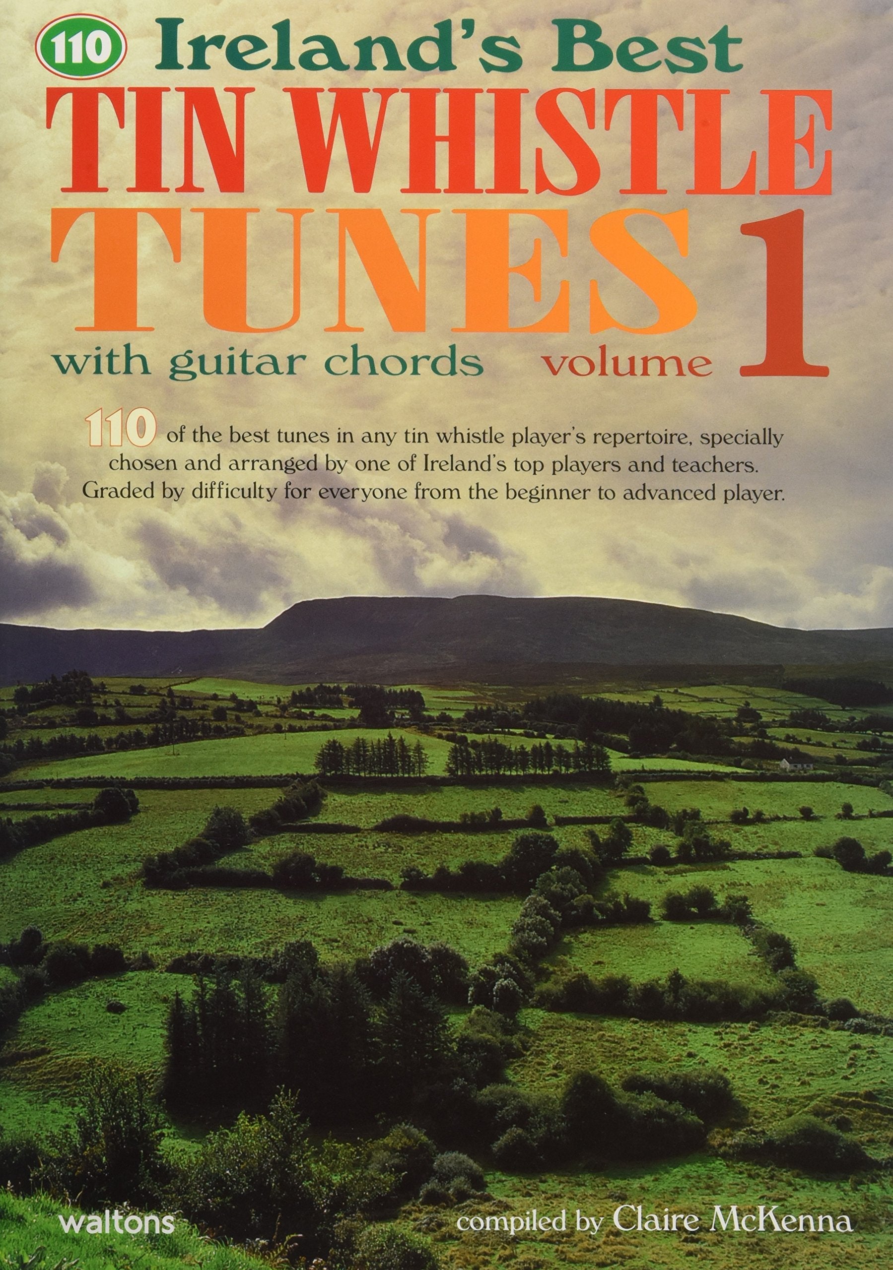 TIN WHISTLE TUNES 1: With Guitar Chords Social Sciences