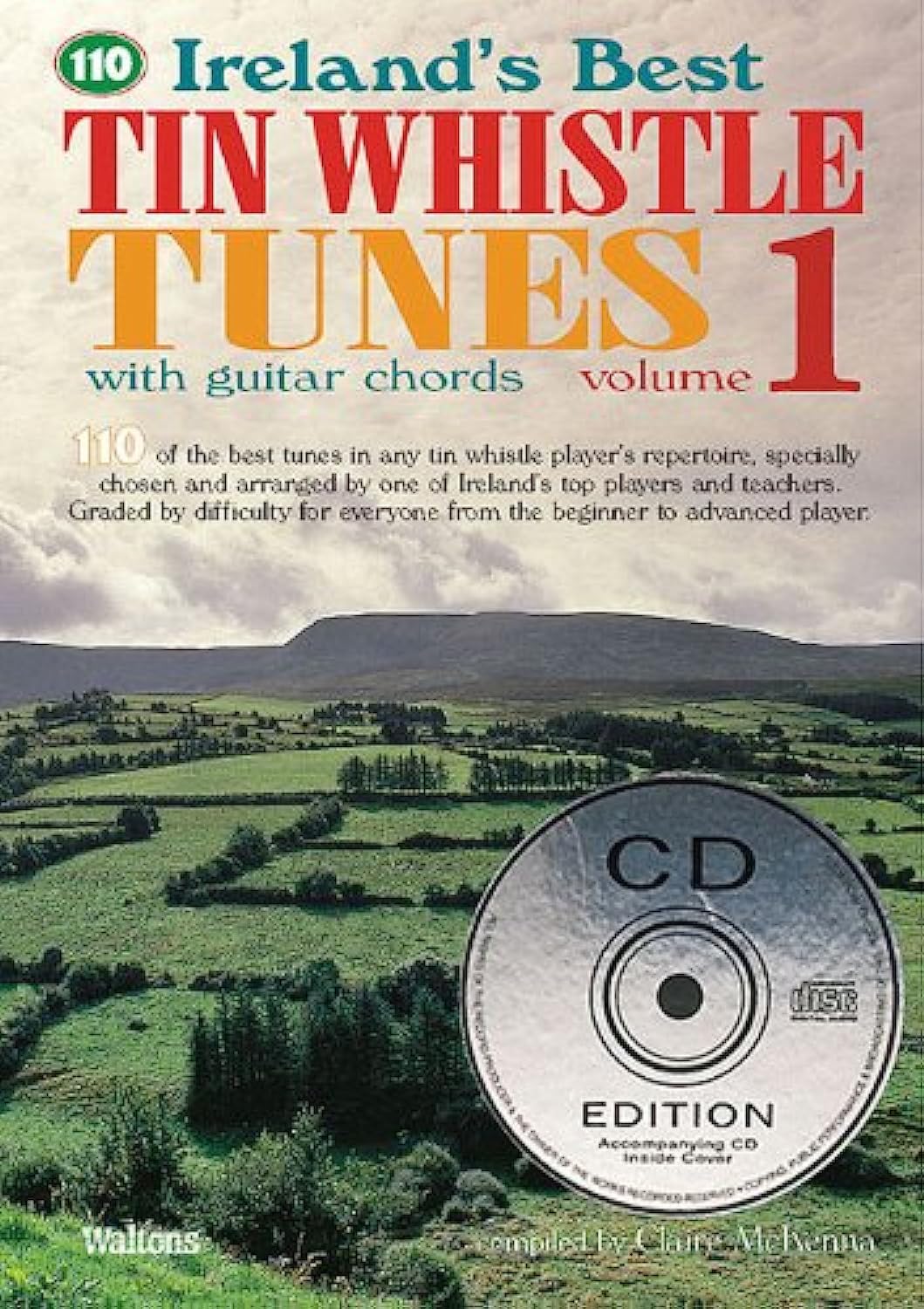 110 IRELANDS BEST TIN WHISTLE (Ireland's Best Collection) Sheet Music