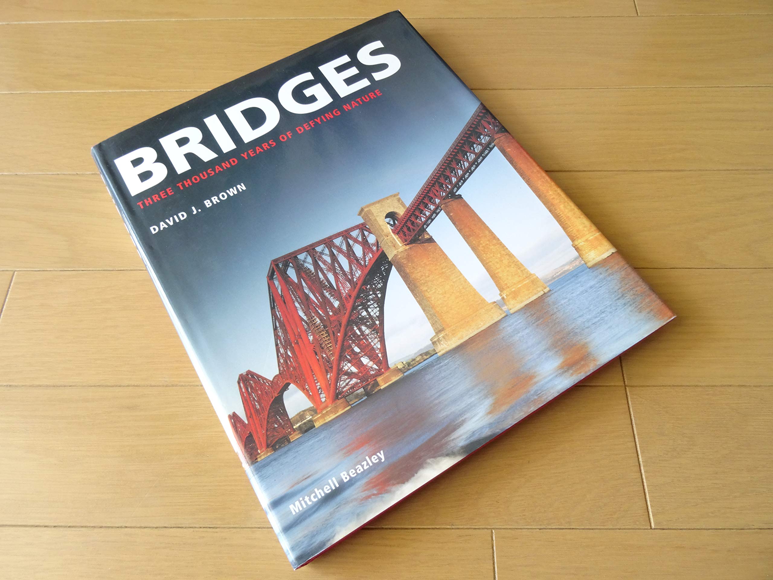 Bridges: Three Thousand Years of Defying Nature Business & Technology