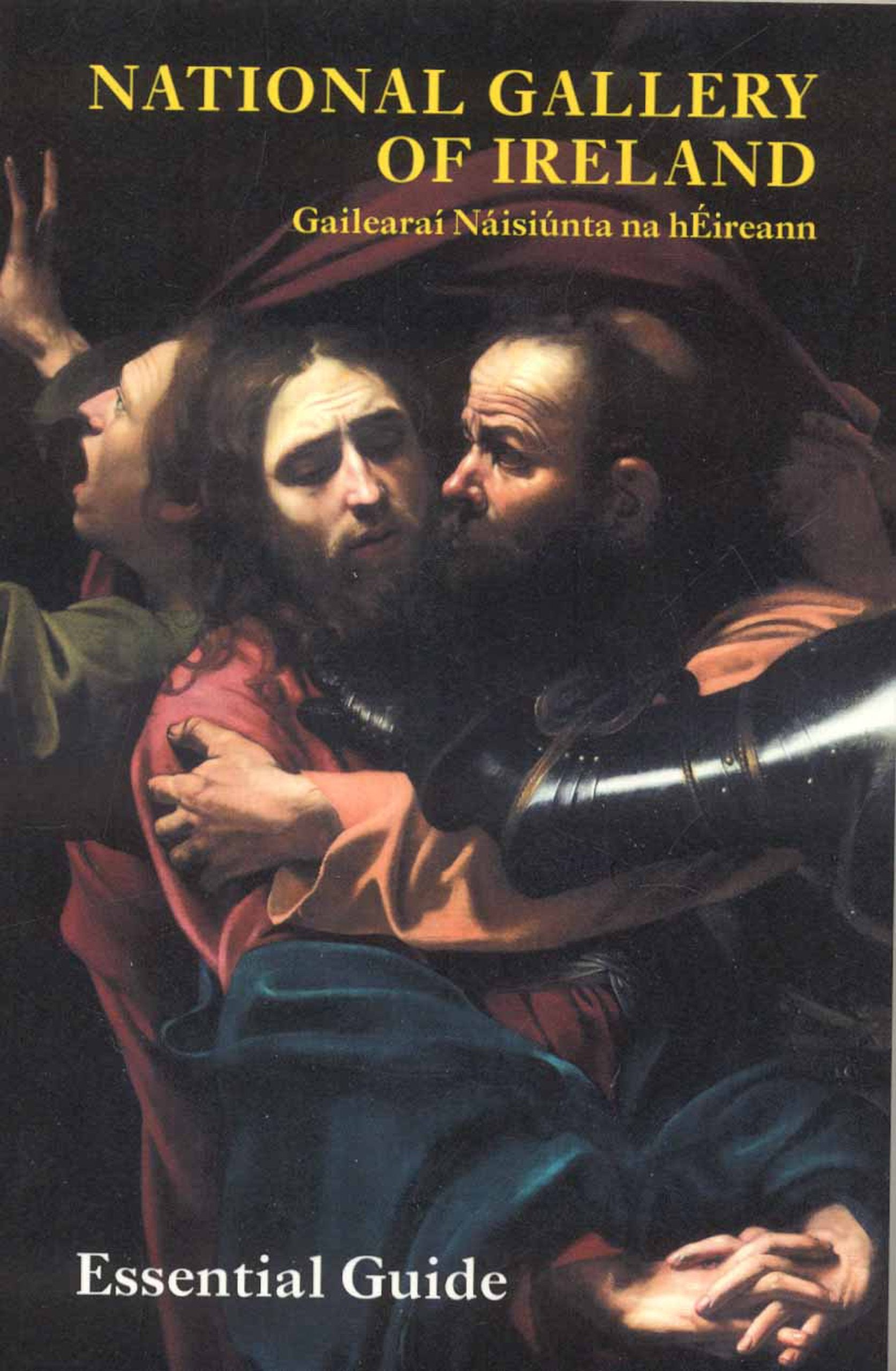 National Gallery of Ireland Essential Guide /anglais book