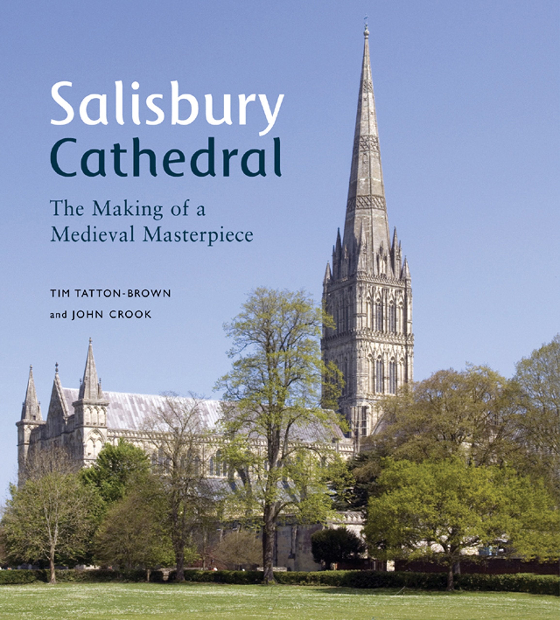 Salisbury Cathedral: The Making of a Medieval Masterpiece book