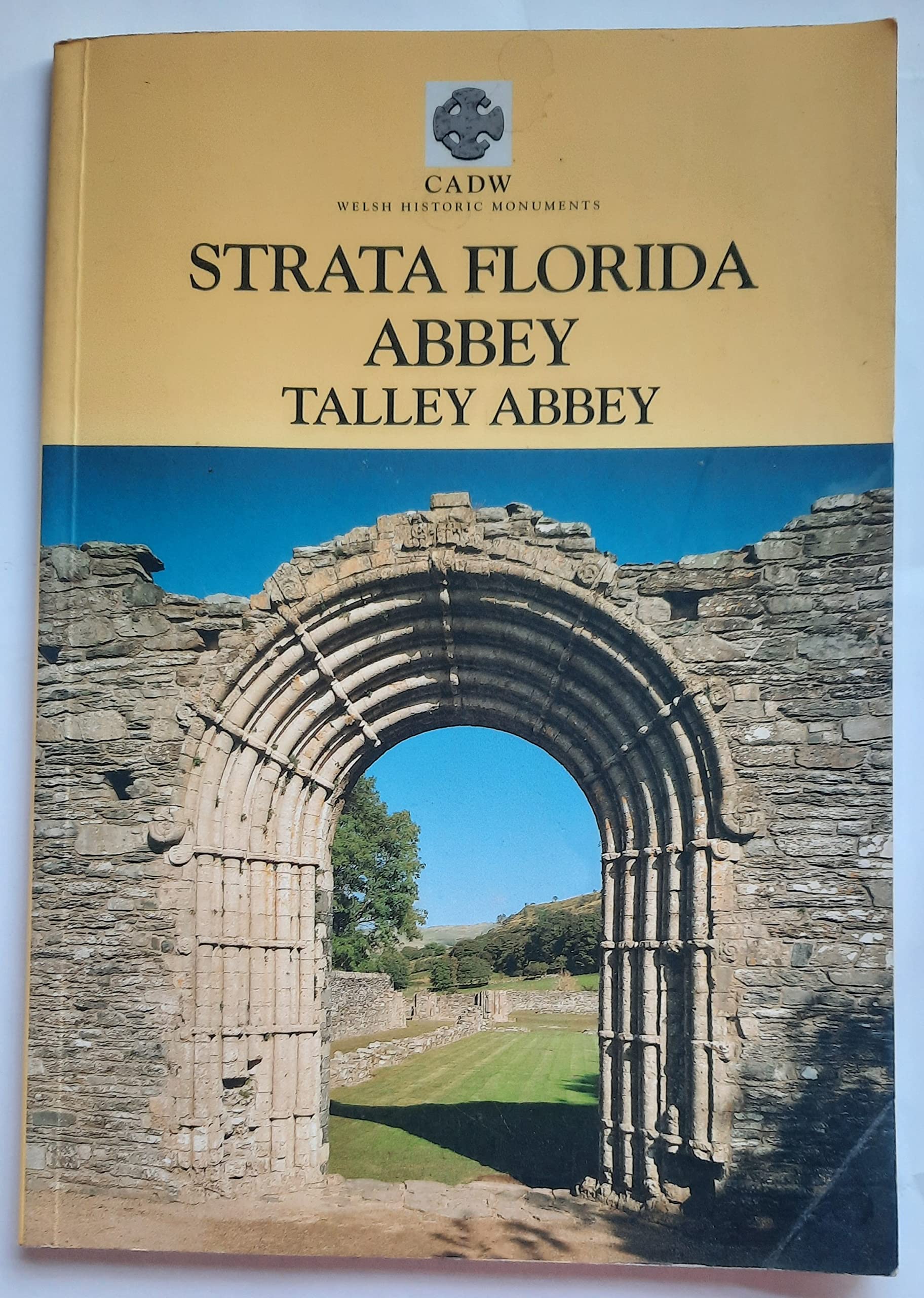 Strata Florida Abbey and Talley Abbey (CADW Guidebooks) Leisure, Home & Garden