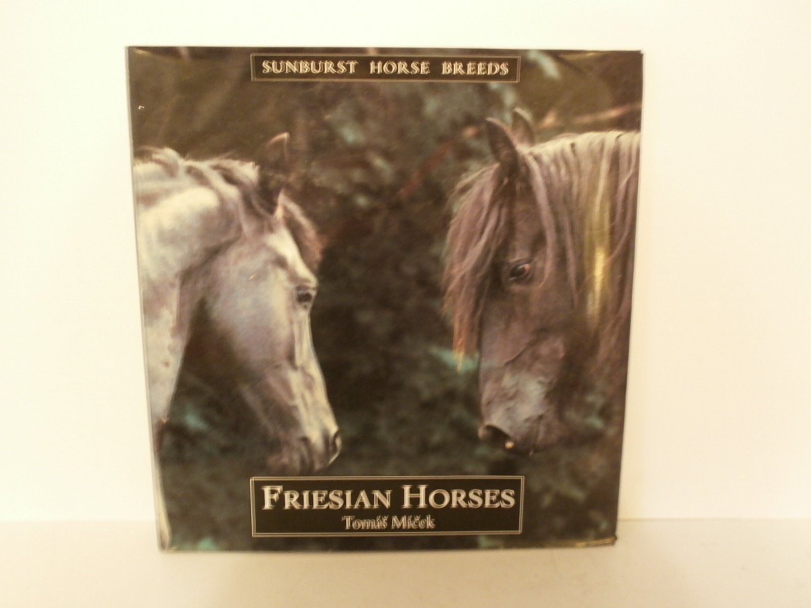 Friesian Horses book