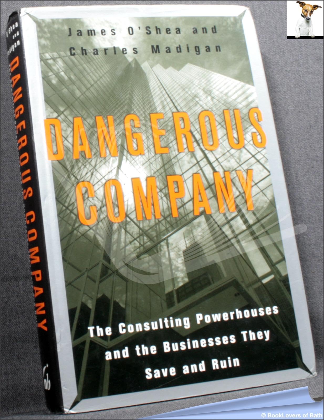 Dangerous Company: The Consulting Powerhouses and the Businesses They Save and Ruin: The Consulting Powerhouses and the Corporations They Save and Ruin Essays & Short Stories