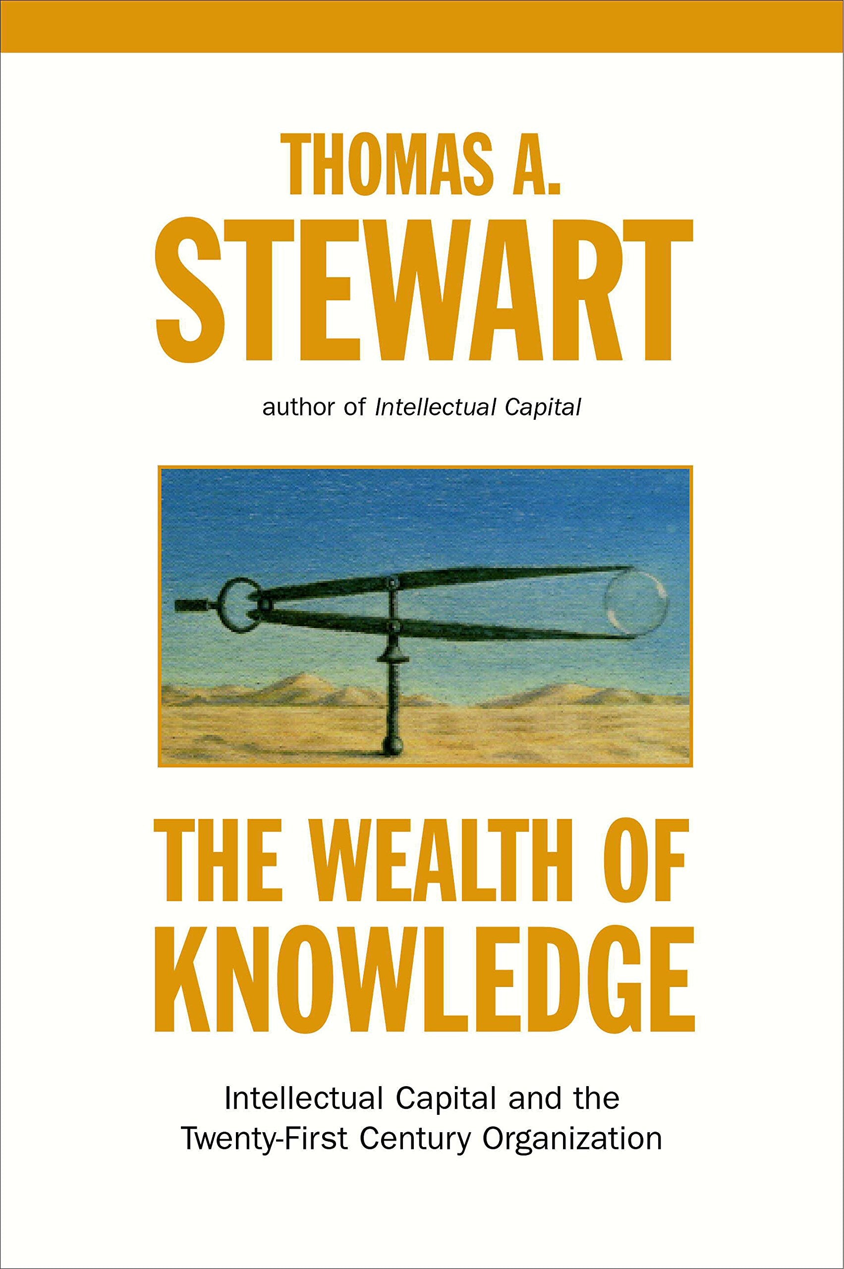 Wealth of Knowledge: Intellectual Capital and the Twenty-First Century Organization Business, Finance & Career