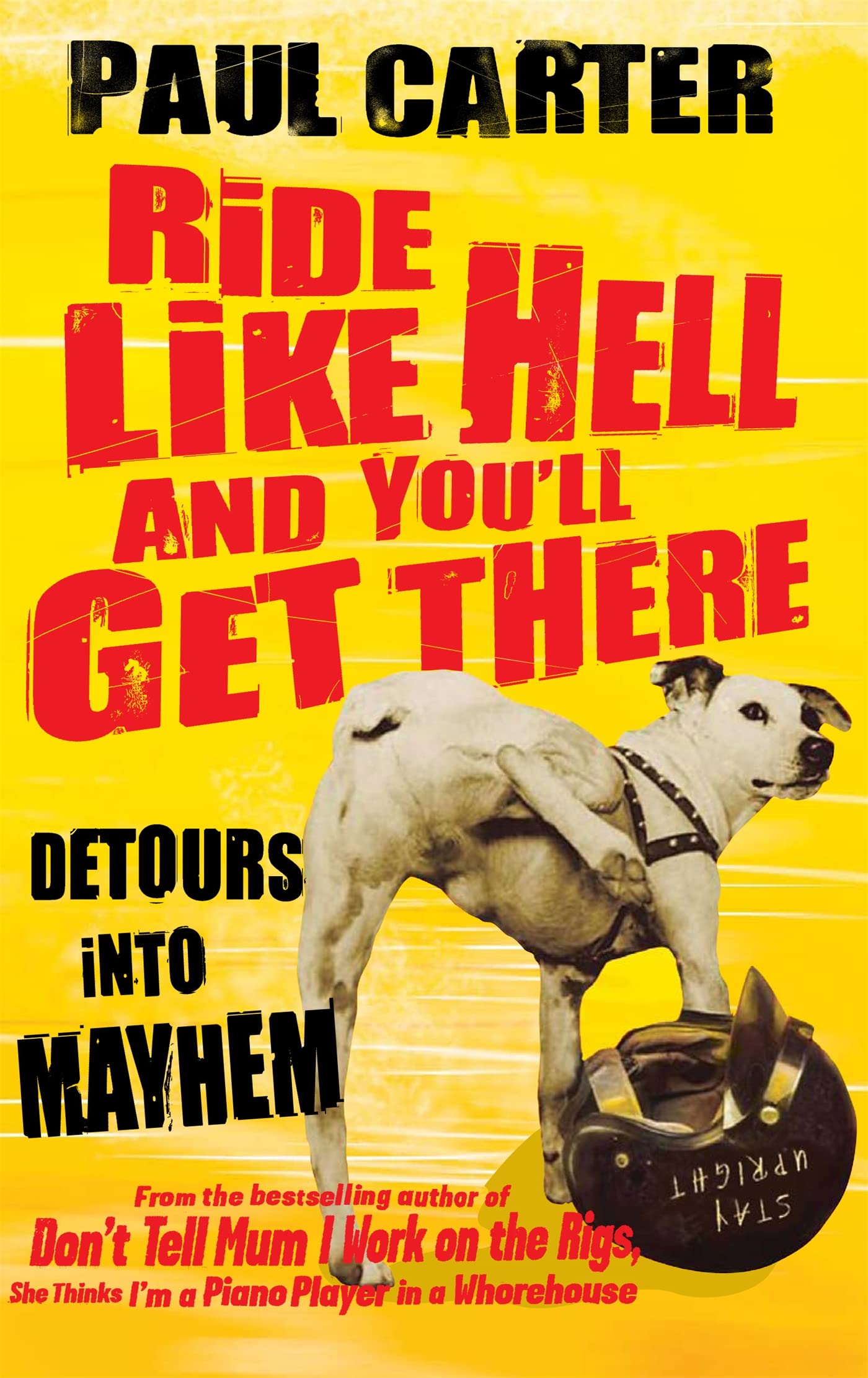 Ride Like Hell and You'll Get There: Detours into mayhem book